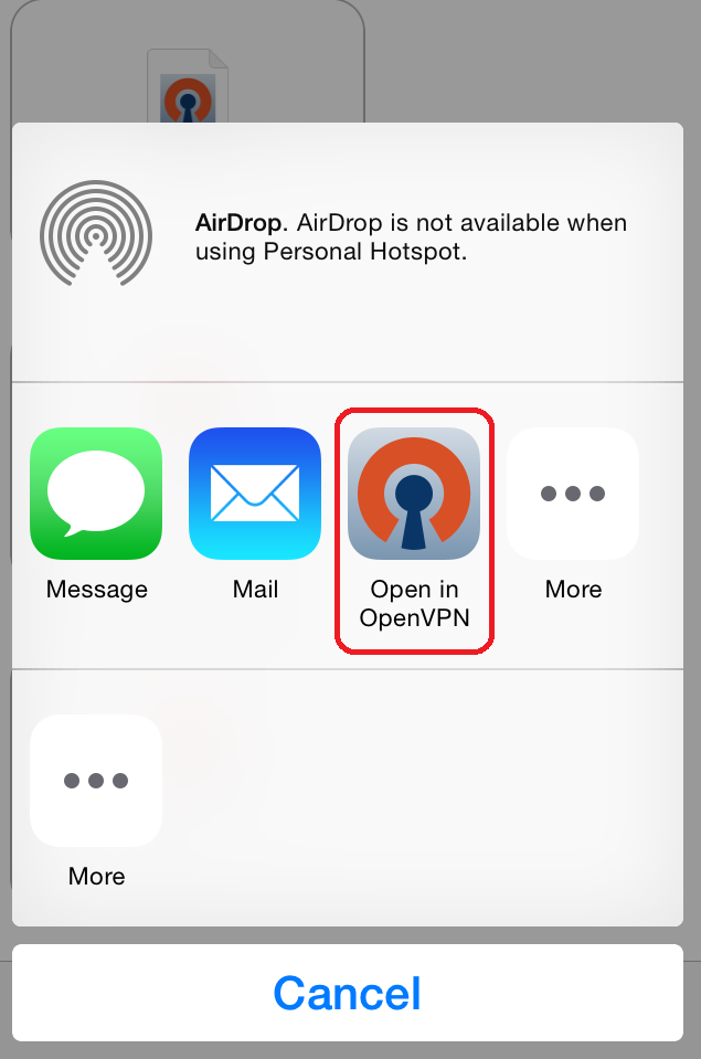 download the new version for ios OpenVPN Client 2.6.6